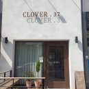 클로버. (clover)37 이미지