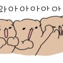 원펀치 복싱클럽 이미지