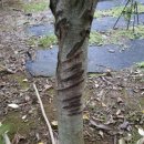 김종훈 농장 이미지