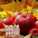 피를 맑게 하는 생활요법 이미지