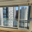 황골쌍용 이미지