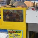 중앙웰빙 | [강릉] 24시간 투숙 꿀팁 &amp; 중앙시장부터 현지인 맛집까지 내돈내산 털어오기 🌊🐚