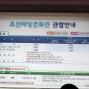 상상속의여행 티스토리