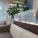 우리들연합의원 이미지