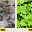 숲노리누리협동조합
