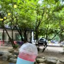 아무르베이커리 이미지