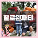 가야스파벨리(2대) | 대구 가을 여행지 호박마녀의초대 네이처파크 할인팁