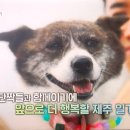 옥희농장 이미지