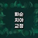 화순군 치아교정 잘하는 전문치과 병원 추천 | 비용 후기 설측교정 돌출입 앞니 투명 무턱 부분 교정기...