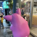 제주도로 휴가 잘 다녀 왔어요 이미지