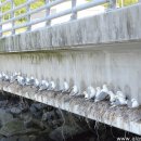 늘그린모텔 이미지