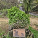 라온 | 베스트 컨디션의 제주 라온cc 라운드 후기