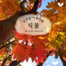 통나무아일랜드 이미지