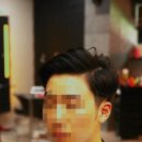 살롱드독 이미지