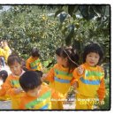 진아농장 이미지