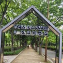 7월 13일 (토요일) 철승 친구 인천 대공원 메타세콰이어 숲길 안내. 이미지