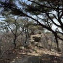 매암산 등산로 이미지