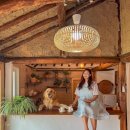 포레스트펜션민박 이미지