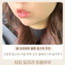 124 | 봄 웜톤 립스틱 추천 고윤정 립스틱 샤넬 루쥬 코코 플래쉬 124 비브란트 솔직후기