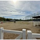 시흥승마힐링체험장 이미지
