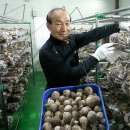 정학농장 이미지