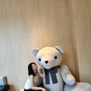 수레지던스 | 신라모노그램 강릉 레지던스 객실후기 | B동 안목해변 오션뷰