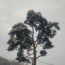 등고개농장 이미지