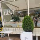 댕댕'sweet 이미지