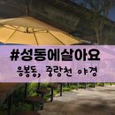성동에살아요. 성동구 멋지게 여행하기 | 멋진 야경과 걷기 좋은 성동구 응봉동, 중랑천에서 힐링