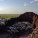 심석초등학교 이미지