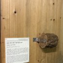 연미산고개 화장실 | 연미산자연미술공원