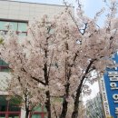 대구성서우체국 이미지