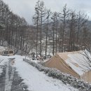 알프스펜션 캠핑&글램핑 이미지