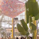 웁스(OOPS) | 의왕 롯데아울렛 카페 웁스어데이지 후기 (반려견 동반 가능, 주차 정보)