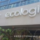 에콜로지아