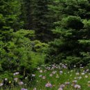 (야간)요가&명상 이미지