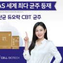 더임팩트 이미지