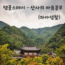 스테이 다연 이미지