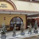 퍼피타임 이미지