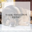 신세계한의원 이미지