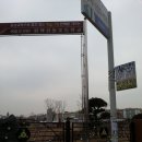 평택성동초등학교 이미지