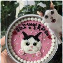 반려동물 케이크만들기 이미지