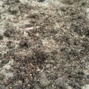 금암농장2 이미지