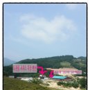 대관령 사파리 목장 이미지