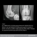 24시 리본동물영상센터 이미지