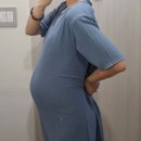 계명양만 | 임신 8개월 증상 (29~32주) | 32주 산부인과 진료 후기(feat. 계명대학교 동산병원)