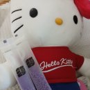 본디한의원 | 다이어트한약환 추천, 순수라인환 4단계 비대면 처방 후기