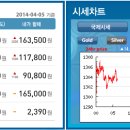 골드쉘화정