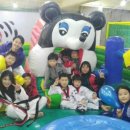 박사태권도 스포츠 클럽 이미지