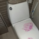 UR(파주시)-[금빛로]-하-6 | 파주운정변기수리 여름철 화장실 변기 물 빠짐 및 부품 고장 출동 후기